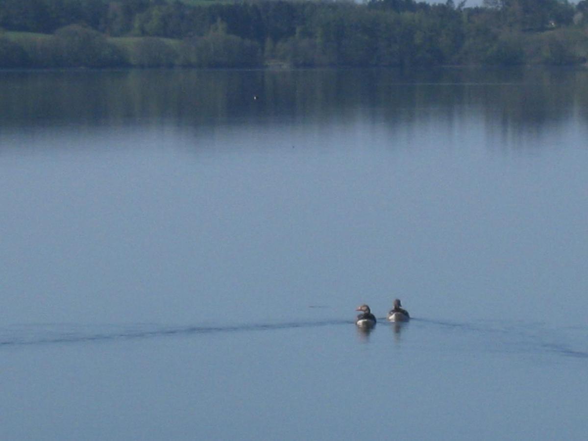 Ved Vandet Skanderborg Exteriör bild